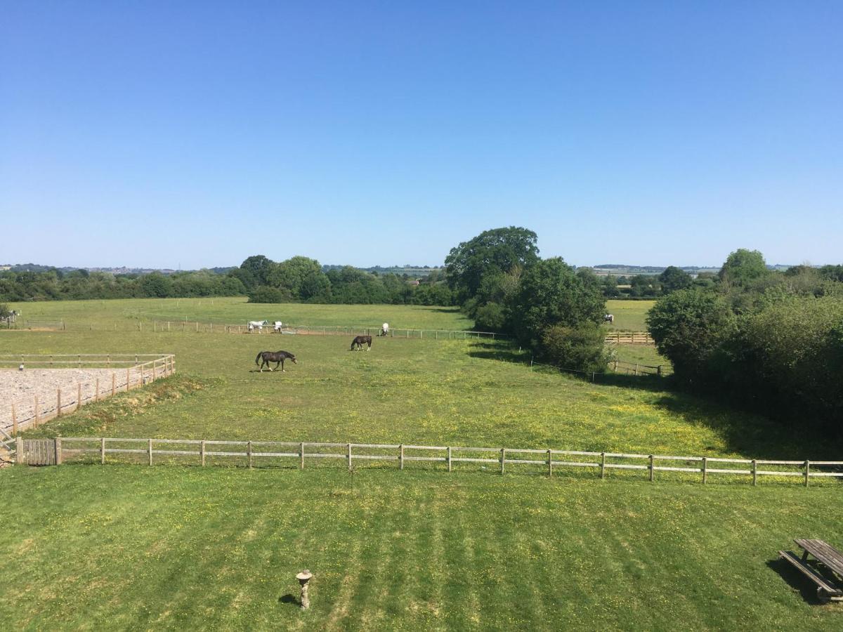 Folly Fields Farm B&B Yetminster Exteriör bild